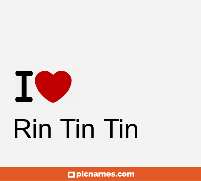 Rin Tin Tin